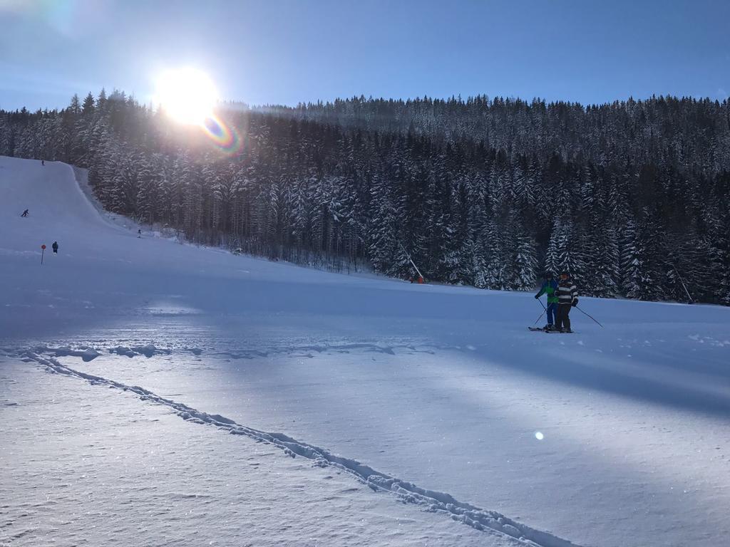 Appartements Almnest Schladming Eksteriør bilde